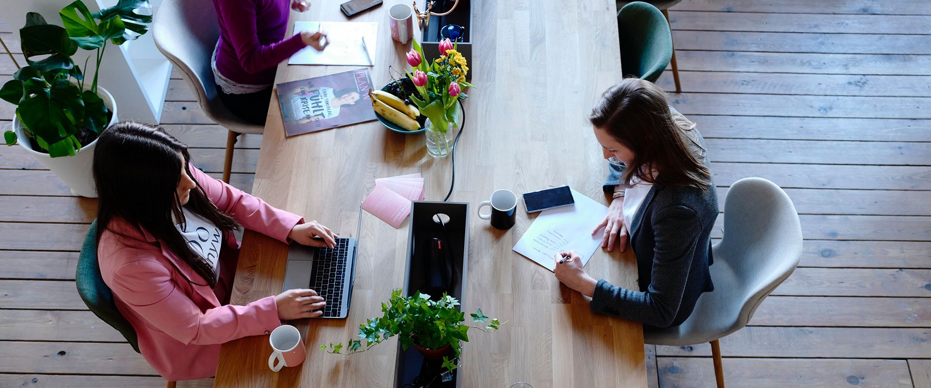 Conseil, formation continue et accompagnement